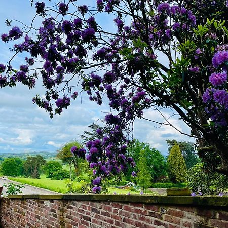 Llanerchydol Hall Suites Welshpool Ngoại thất bức ảnh