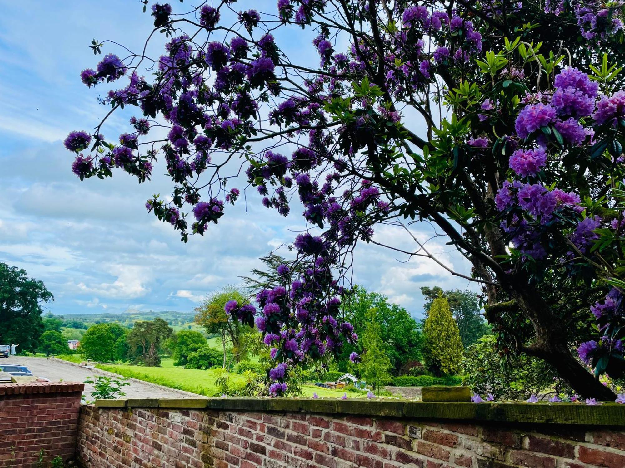 Llanerchydol Hall Suites Welshpool Ngoại thất bức ảnh